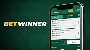 Explore the Features of the BetWinner Betting Platform