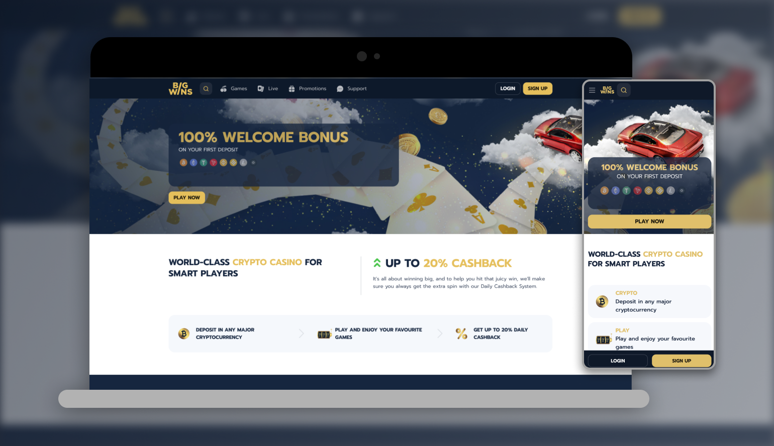 BigWins Online Casino Evaluation
