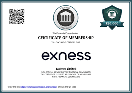 Understanding Exness Forex Broker Features, Benefits, and Strategies